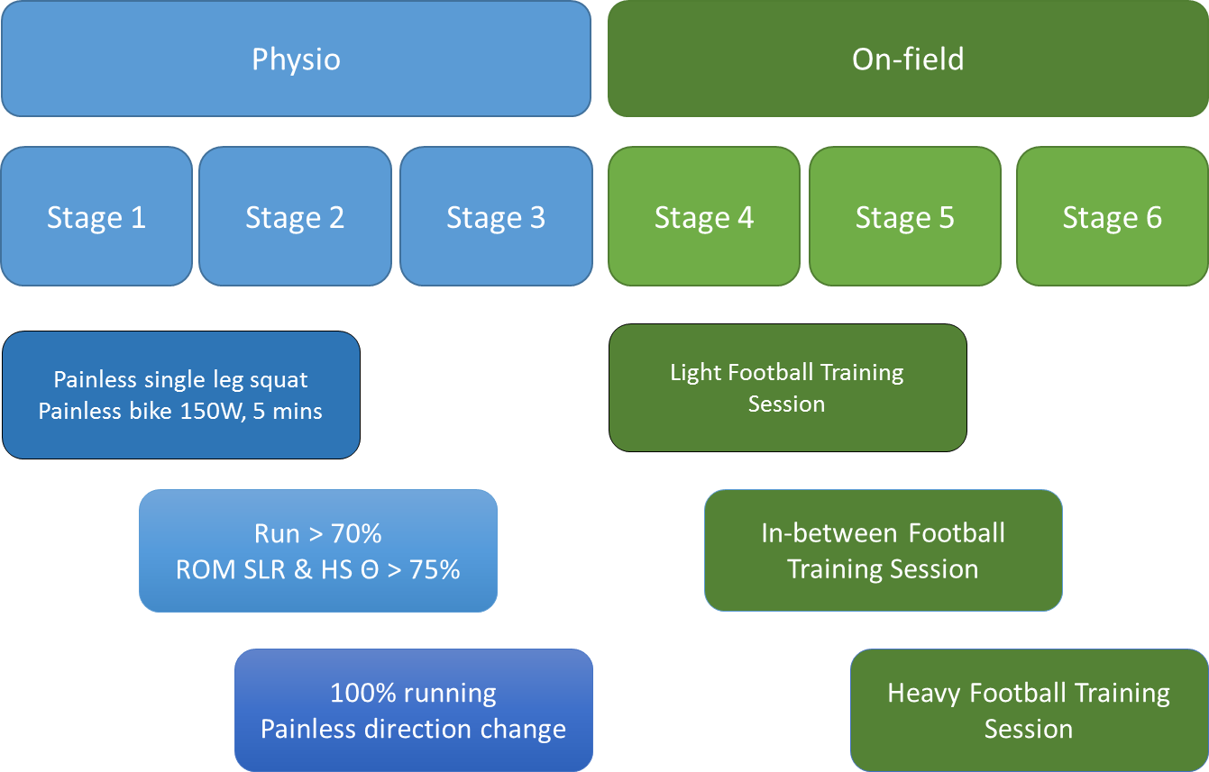 hamstring figure 3 11.18