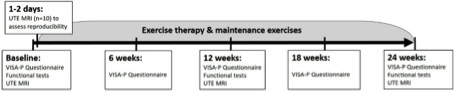 Figure 2: Time line of the study