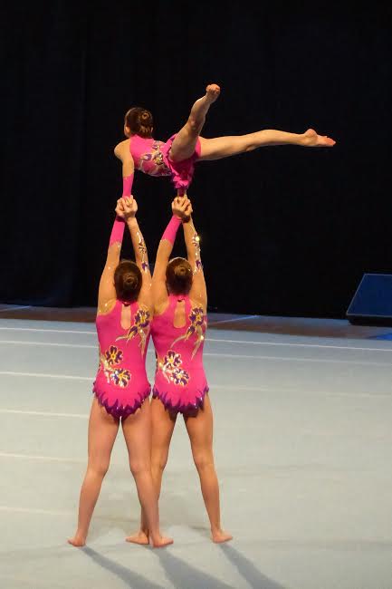 Working in gymnastics - it’s a balancing act | BJSM blog - social media