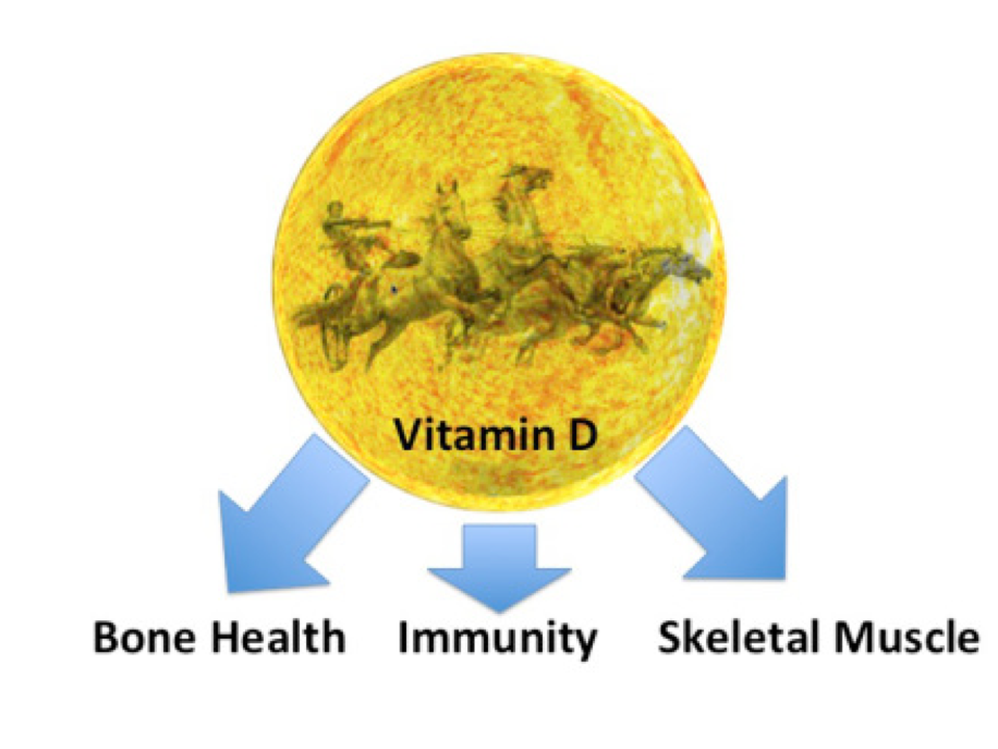 Surprisingly Low Levels Of Vitamin D In Cyclists Bjsm Blog