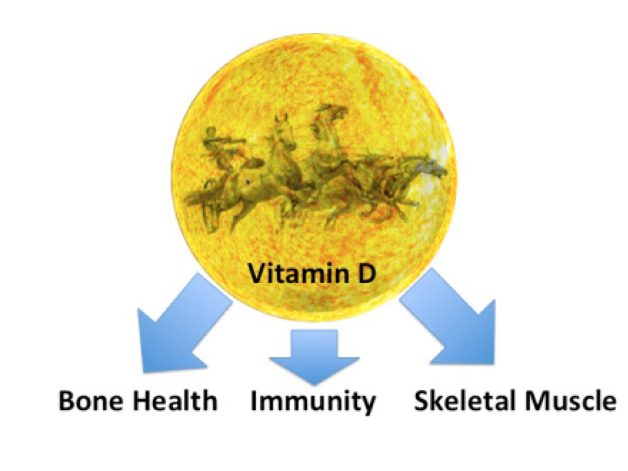 Surprisingly Low Levels Of Vitamin D In Cyclists Bjsm Blog - 