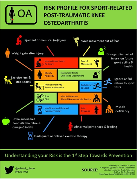 Are we allowing injured athletes enough time to biologically recover from  injury? - BJSM blog - social media's leading SEM voice