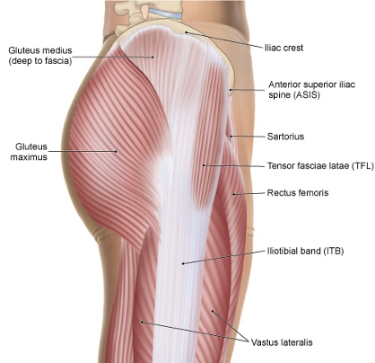 Lateral 'hip' pain? Don't always blame the glutes…. - BJSM blog