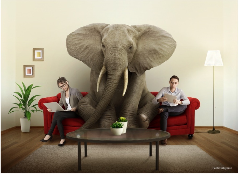 Identifying the Elephant in the Room