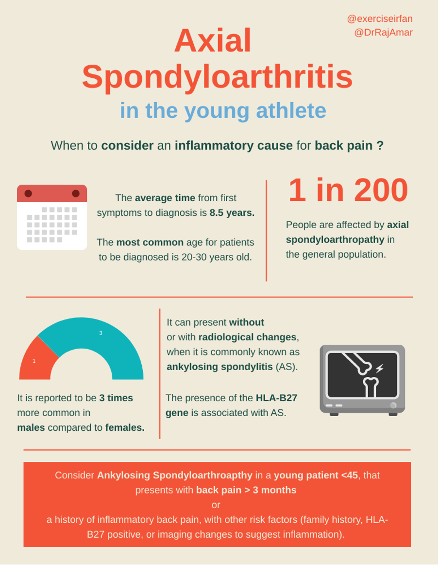 New Exercises for Low Back Pain on the CCGI  Channel