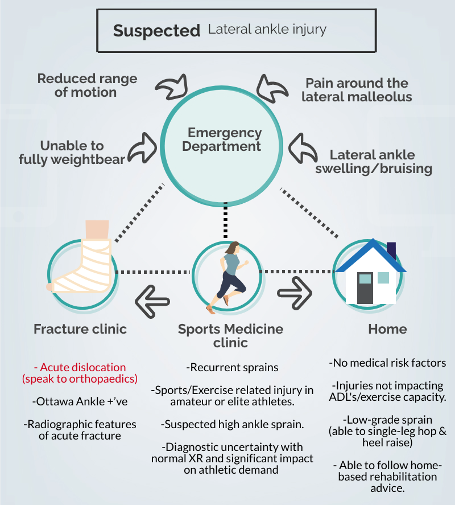 Lateral Ligament Injury - Sports Medicine Information