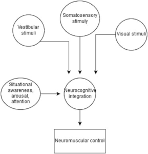 A novel repetitive head impact exposure measurement tool