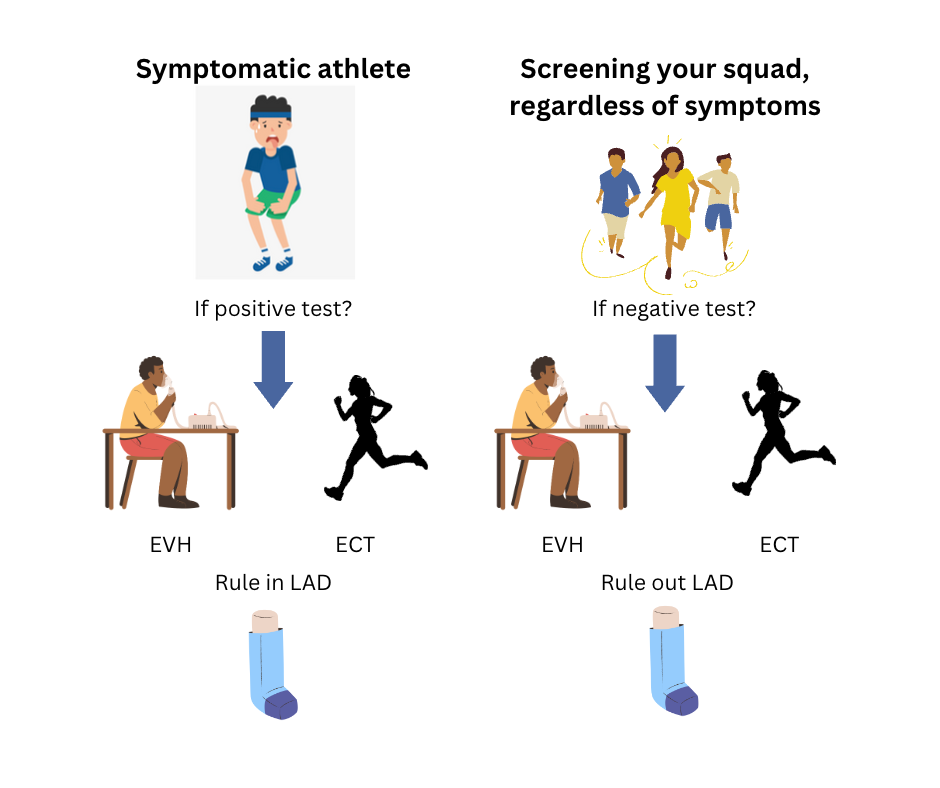 diagnostic-approach-to-lower-airway-dysfunction-in-athletes-a