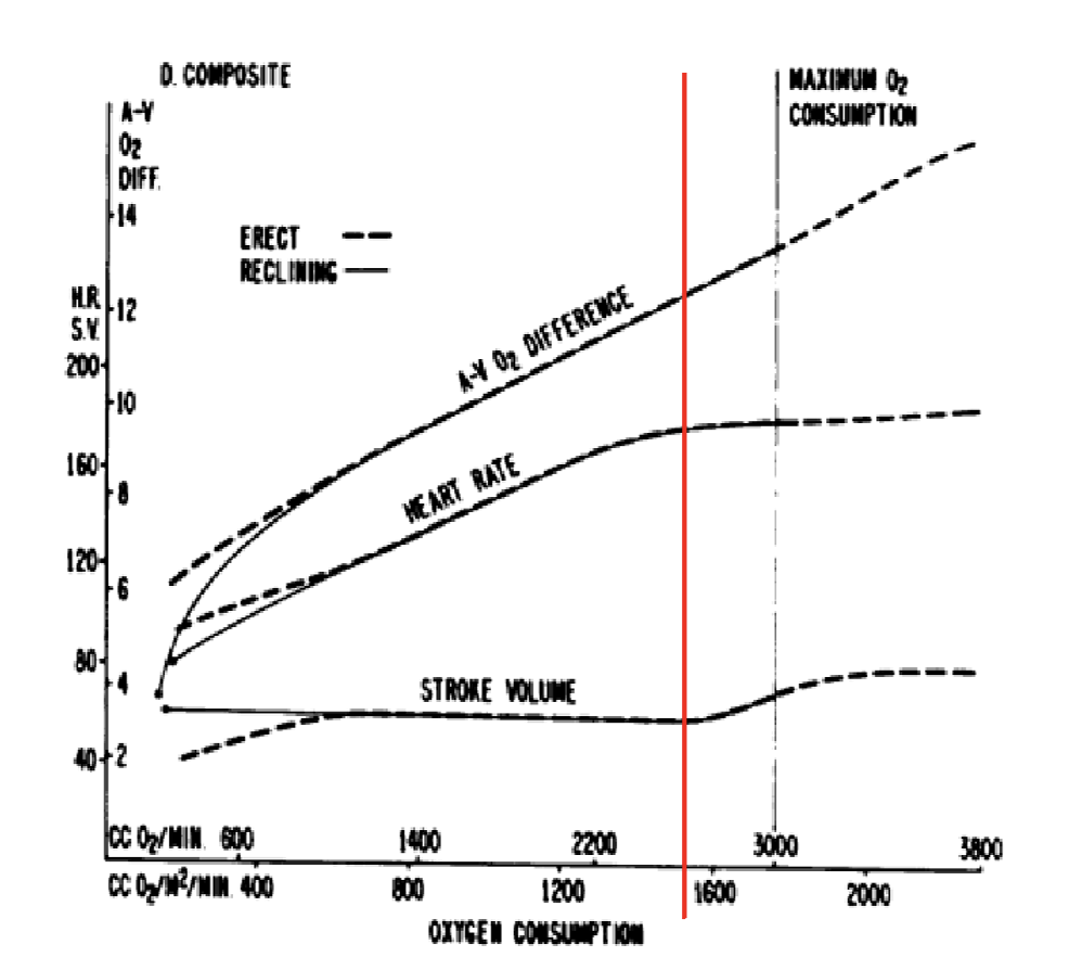 the-error-of-easy-running-in-terms-of-stroke-volume-response-to