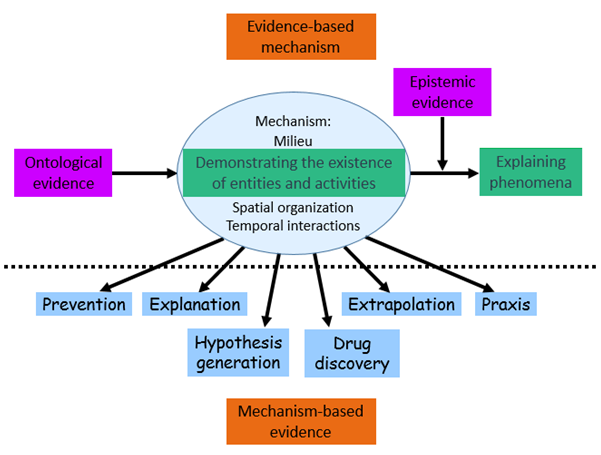 aronson_mechanism_evidence