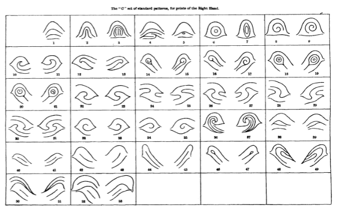 galton fingerprints book