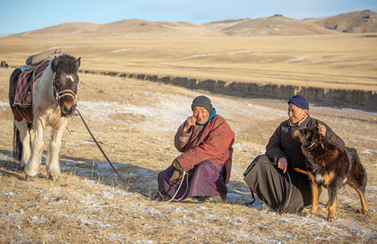 Mongolian pastoralists face covid-19 with traditional calm - The BMJ