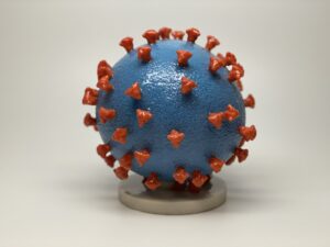 Novel Coronavirus SARS-CoV-2