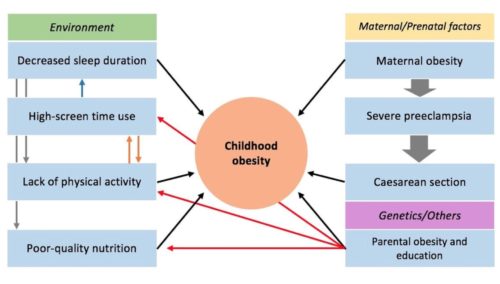 Childhood Development And The Social Determinants Of