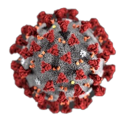 computer generated image of coronavirus