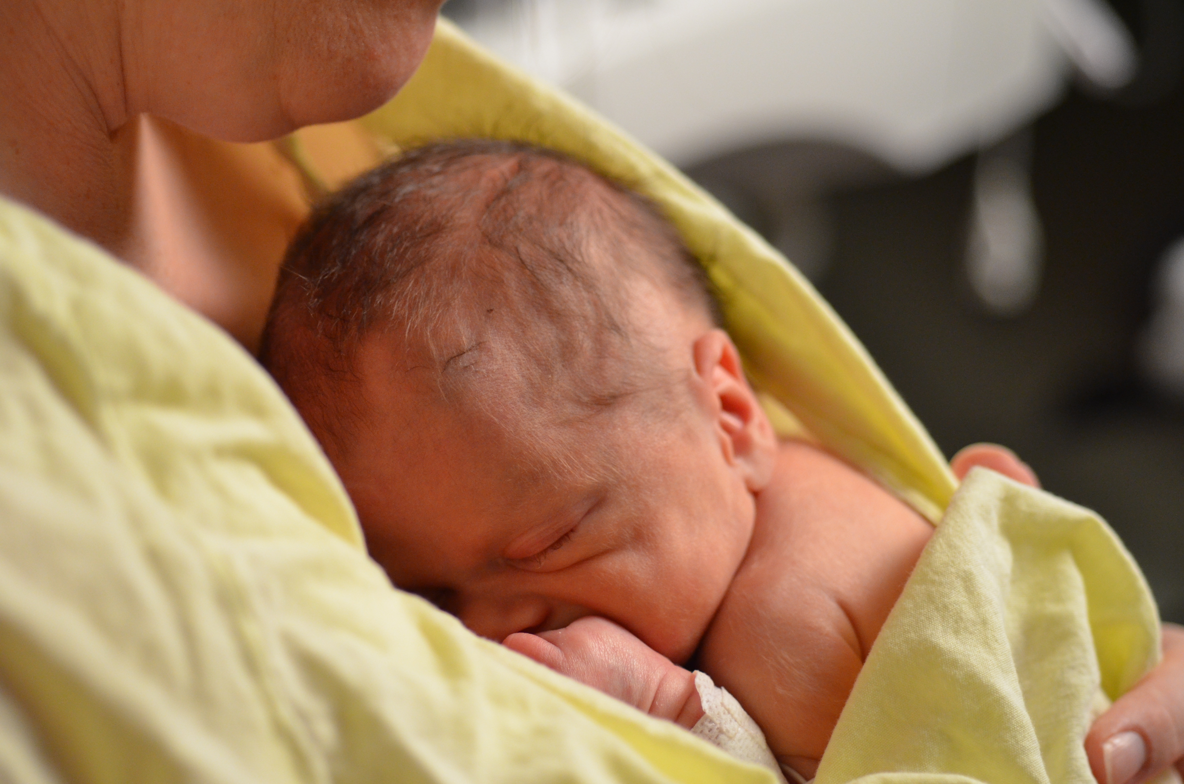 The Power of a Parent’s Touch on Newborn Procedural Pain