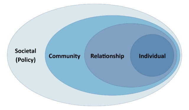 Preventing Firearm Suicide through the Social Ecological Model - Injury ...