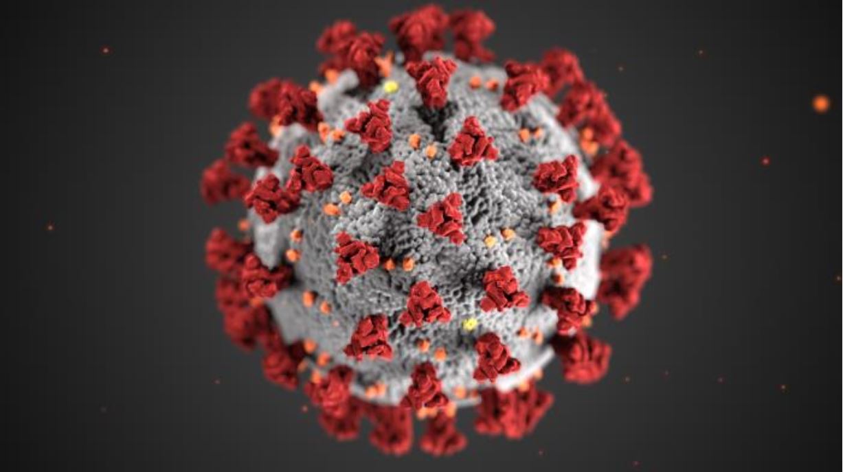 This illustration, created at the Centers for Disease Control and Prevention (CDC), reveals ultrastructural morphology exhibited by coronaviruses. Note the spikes that adorn the outer surface of the virus, which impart the look of a corona surrounding the virion, when viewed electron microscopically. A novel coronavirus, named Severe Acute Respiratory Syndrome coronavirus 2 (SARS-CoV-2), was identified as the cause of an outbreak of respiratory illness first detected in Wuhan, China in 2019. The illness caused by this virus has been named coronavirus disease 2019 (COVID-19); CDC/ Alissa Eckert, MS; Dan Higgins, MAMS.