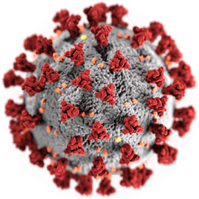 image of the coronavirus