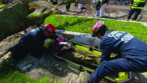 two emergency response team members lifting a person on a gurney against a backdrop of green grass