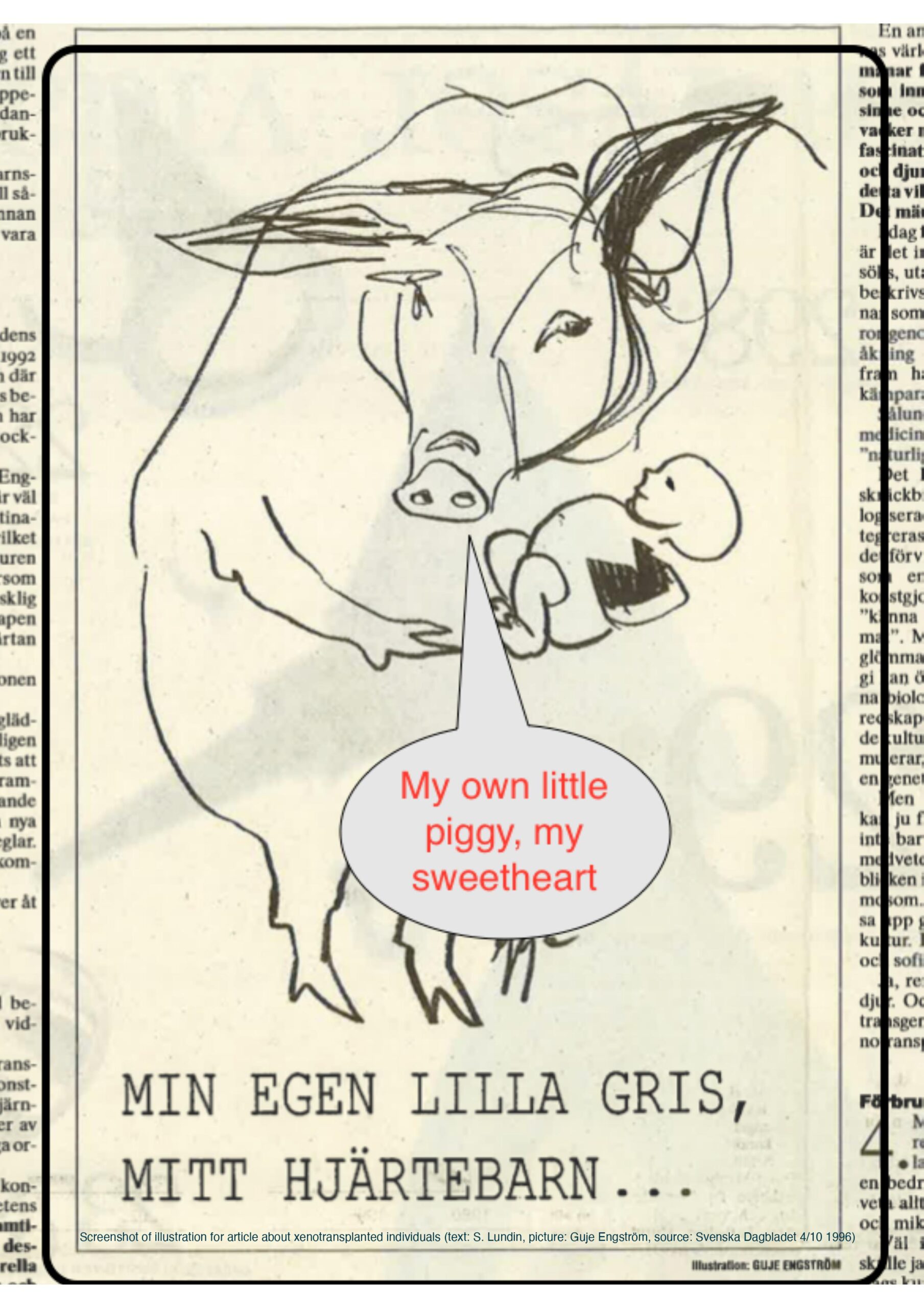Lundin, Susanne - Ethnographic fieldwork among pigs and people. What can we learn from