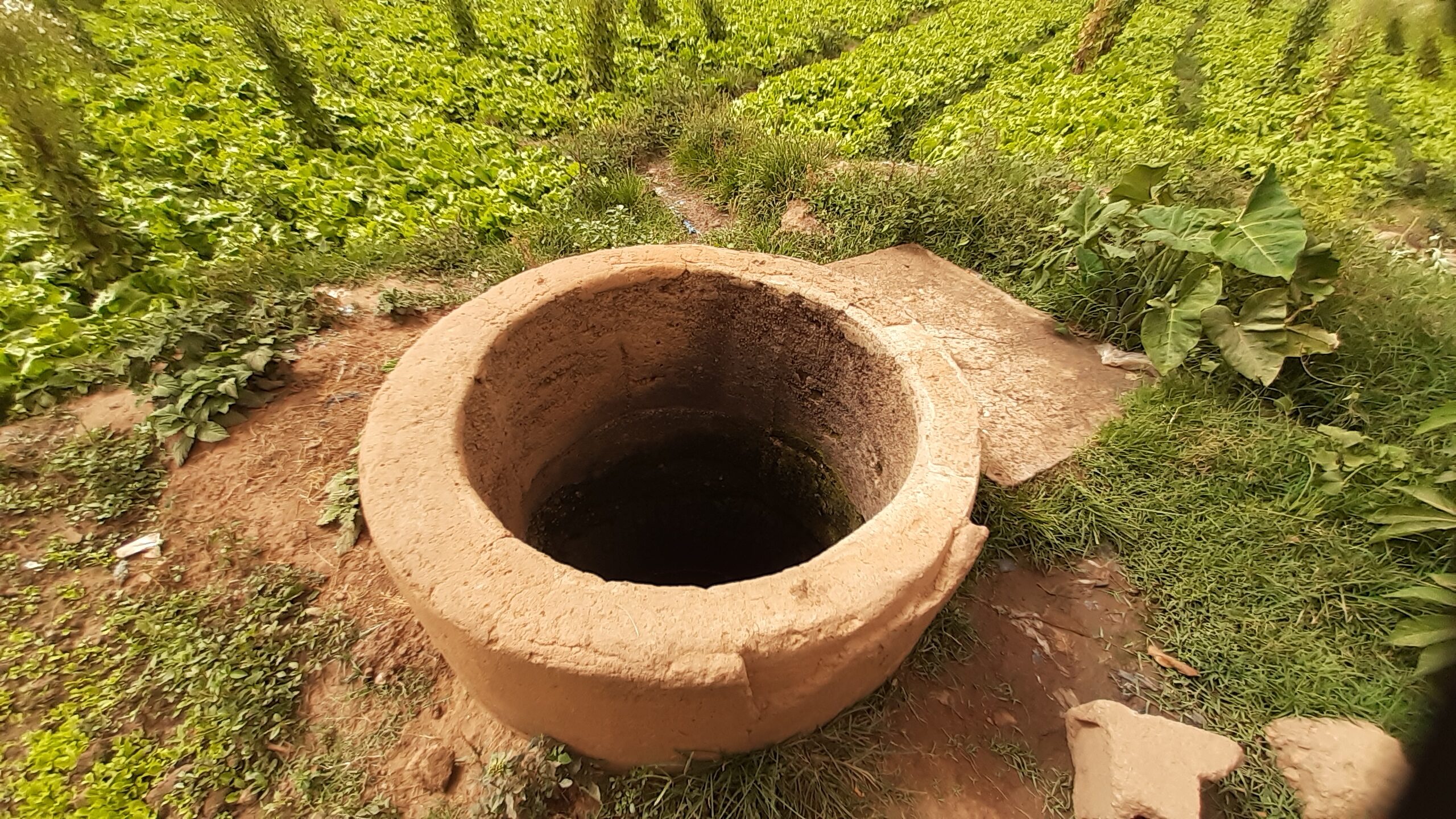 Urban garden in Ouagadougou, Burkina Faso.