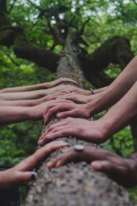 Image of hands on a trunk laid horizontally.