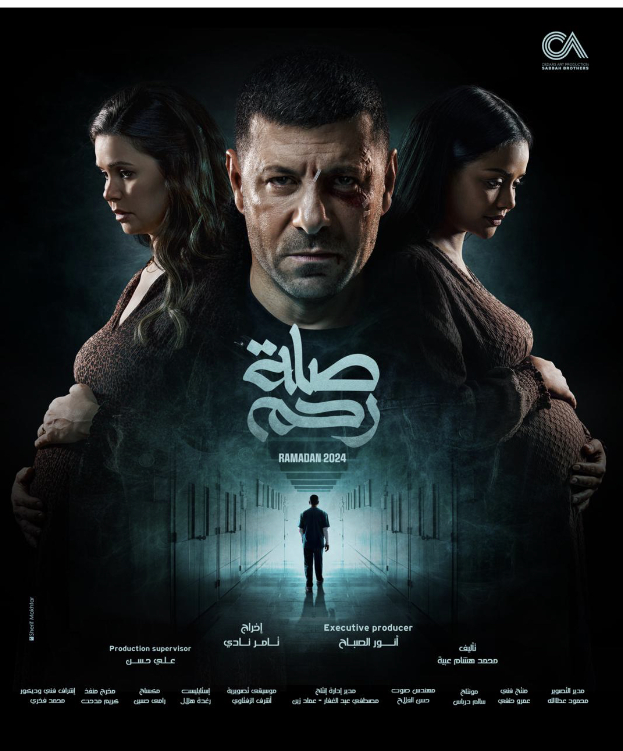 Ali, Khalid - Deconstructing Taboos of Surrogacy and Backstreet Abortion in the Arab World Poster